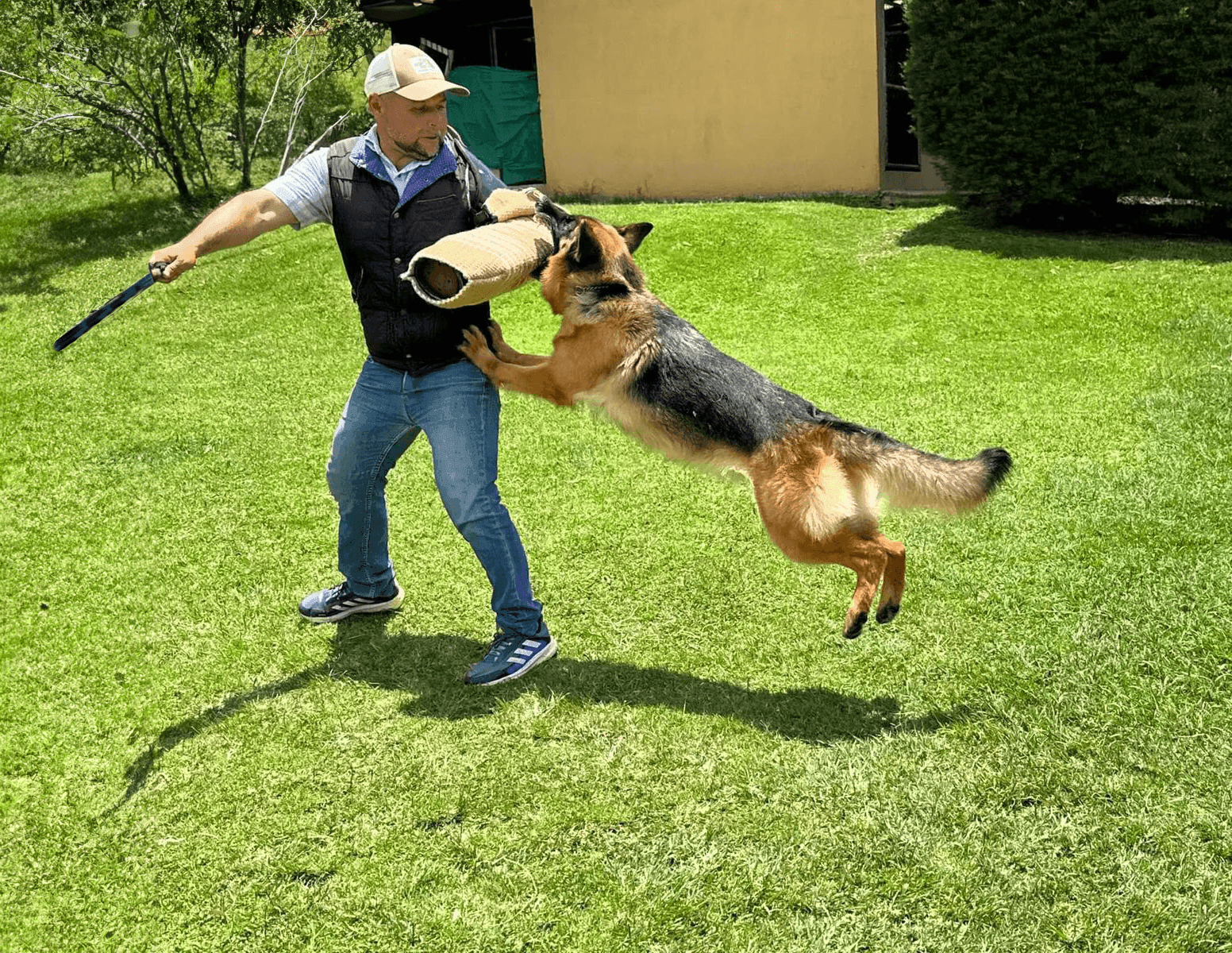 Entrenamiento de guardia y protección: